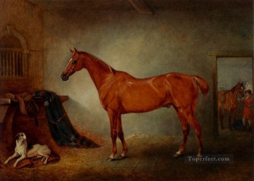 Firebird y caballo político John Ferneley Snr Pinturas al óleo